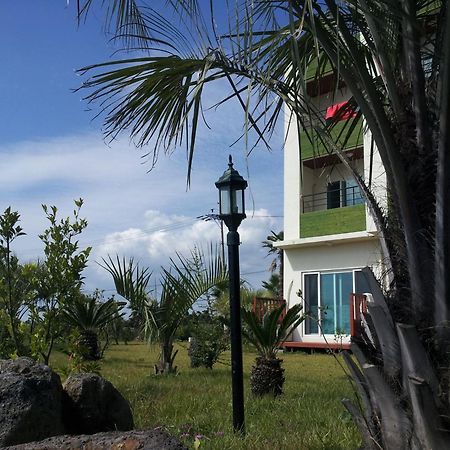 Jeju Bada Wi Olle Pension Seogwipo-stad Buitenkant foto
