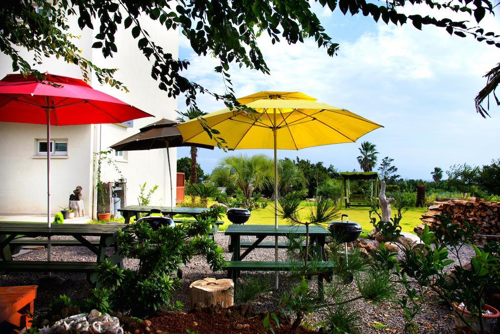 Jeju Bada Wi Olle Pension Seogwipo-stad Buitenkant foto