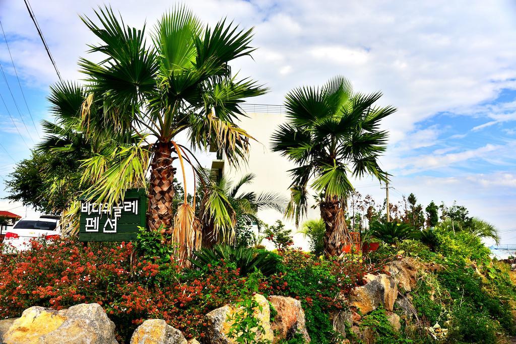 Jeju Bada Wi Olle Pension Seogwipo-stad Buitenkant foto