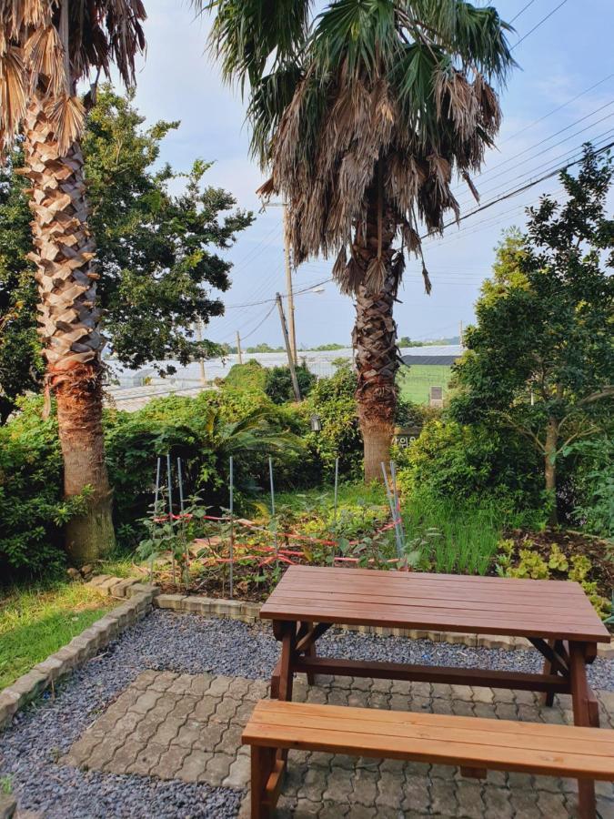 Jeju Bada Wi Olle Pension Seogwipo-stad Buitenkant foto